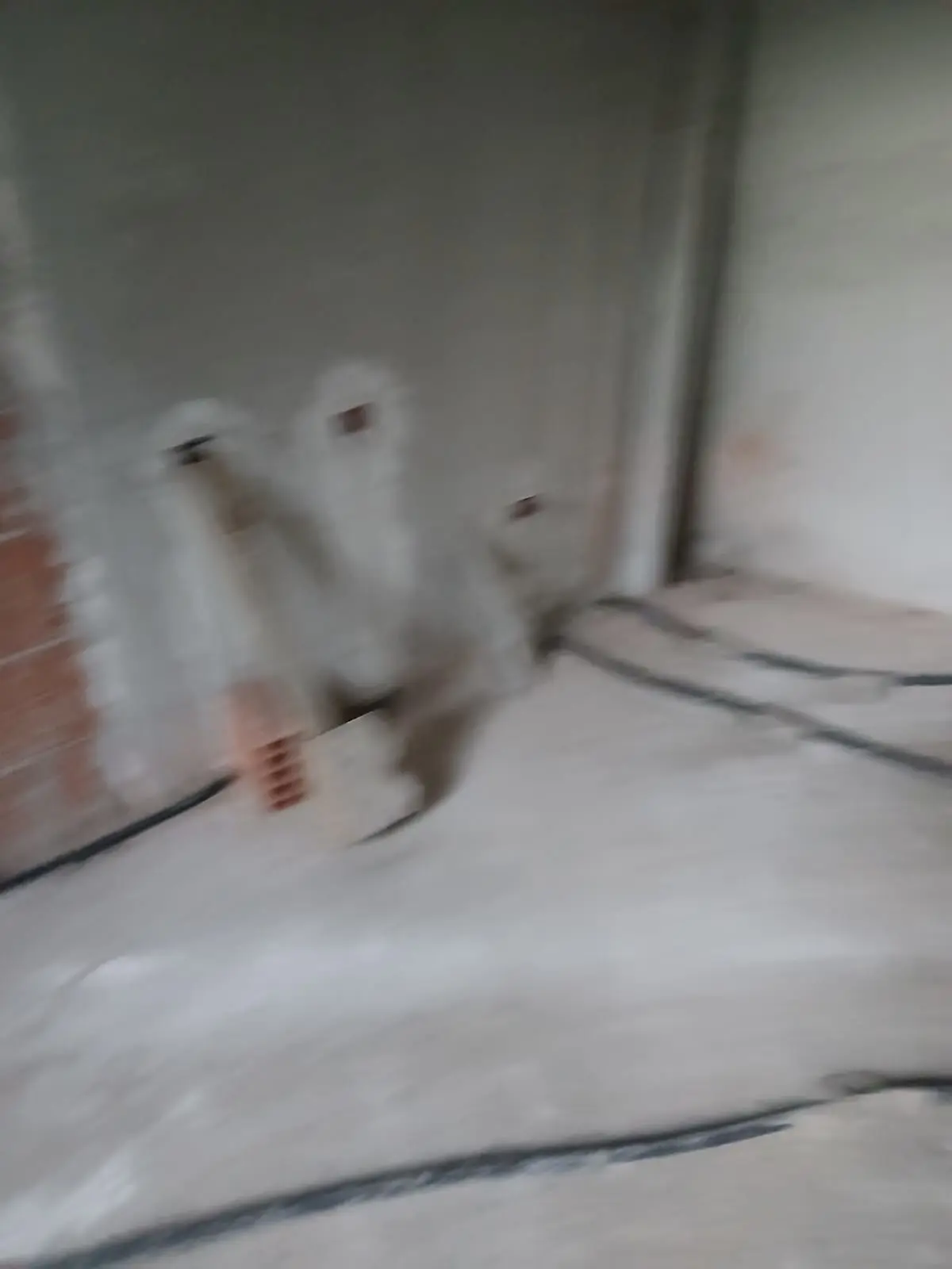 Job Image